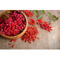 goji berry extract powder goji guarana